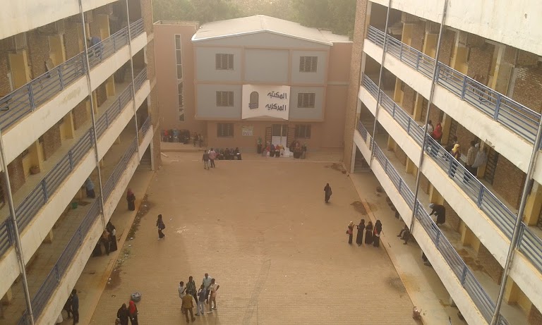 Sharq Elnile College